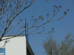 Fotoausflug Industriegebiet Liesing Fotoausflug Industriegebiet Liesing