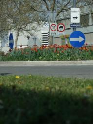 Fotoausflug Industriegebiet Liesing/Schilderwald um Kreisverkehr Fotoausflug Industriegebiet Liesing/Schilderwald um Kreisverkehr