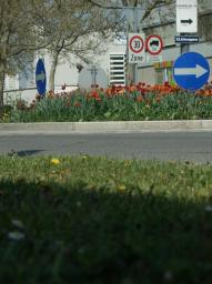 Fotoausflug Industriegebiet Liesing/Schilderwald um Kreisverkehr Fotoausflug Industriegebiet Liesing/Schilderwald um Kreisverkehr