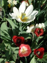 Fotoausflug Industriegebiet Liesing/Blume Fotoausflug Industriegebiet Liesing/Blume