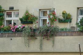 Detail Gemeindebau Wien 18, Weimarer Strasse Detail Gemeindebau Wien 18, Weimarer Strasse