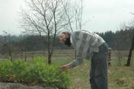 Franz/beim Kuerbisbeet Franz/beim Kuerbisbeet