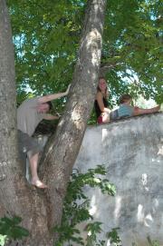 Michi, Clelia, Carmen-Elena/Nussbaum/Hofmauer Michi, Clelia, Carmen-Elena/Nussbaum/Hofmauer