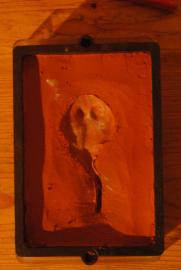 Die Rochenform Die Rochenform