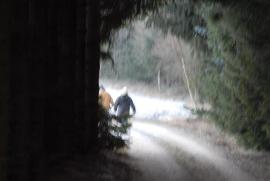 Hohlweg mit Wanderinnen Hohlweg mit Wanderinnen