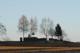 Birken mit Holzschar Birken mit Holzschar