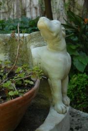 perro mutilado/"Ein Hund kam in die Küche ..."/für Magdalena perro mutilado/"Ein Hund kam in die Küche ..."/für Magdalena