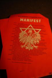 MANIFEST/Polish pavillon - ...and Europe will be stunned (motto) MANIFEST/Polish pavillon - ...and Europe will be stunned (motto)