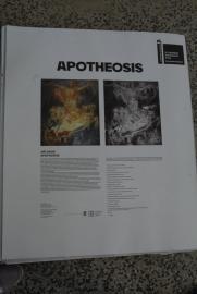 Biennale 2015, Giardini/Czech-Slovak Pavilion/Jiři David: Apotheosis Biennale 2015, Giardini/Czech-Slovak Pavilion/Jiři David: Apotheosis