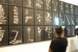 Biennale 2015, Arsenale/Madhusudhanan: Penal Colony Biennale 2015, Arsenale/Madhusudhanan: Penal Colony