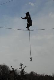 Cycling bear sculpture in front of the bear park/Bern/Berne Schweiz/Switzerland)/public Cycling bear sculpture in front of the bear park/Bern/Berne Schweiz/Switzerland)/public