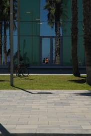 Alesther/Central de Desigual, Barceloneta Alesther/Central de Desigual, Barceloneta