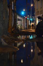 Trees lifting the asphalt with their roots Trees lifting the asphalt with their roots