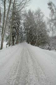 Seyfrieds/Teichdamm Winkelauerteich/7./8. 1. 2006 Seyfrieds/Teichdamm Winkelauerteich/7./8. 1. 2006