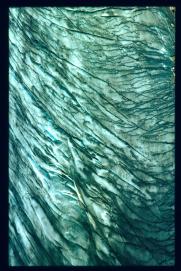 Oesterreich-Reise Juli 1991/Gletscher Oesterreich-Reise Juli 1991/Gletscher