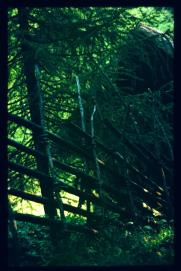 Oesterreich-Reise Juli 1991/Freilichtmuseum oesterreichischer Hoefe Stuebing/Open Air Museum of Austrian Farmyards/Granges/hewn fence Oesterreich-Reise Juli 1991/Freilichtmuseum oesterreichischer Hoefe Stuebing/Open Air Museum of Austrian Farmyards/Granges/hewn fence