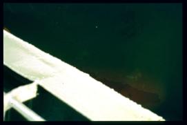 Griechenland 1992/Organisiert ueber Gymnasium Waidhofen.Thaya/Mag. Gut, Mag. Poeppl et al/ferry rudder? Griechenland 1992/Organisiert ueber Gymnasium Waidhofen.Thaya/Mag. Gut, Mag. Poeppl et al/ferry rudder?