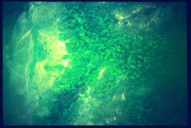 Nicaragua 1992 Nicaragua 1992