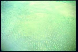 Nicaragua 1992 Nicaragua 1992