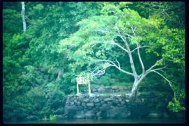 Nicaragua 1992/se vende una isla/llame 678300/island for sale ... Nicaragua 1992/se vende una isla/llame 678300/island for sale ...