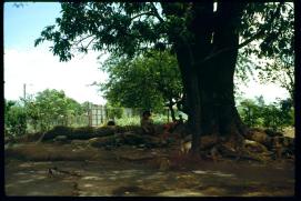 Nicaragua 1992/Leon/children at wayside/nin@s al lado de la calle Nicaragua 1992/Leon/children at wayside/nin@s al lado de la calle