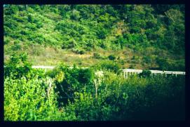 Nicaragua 1992/Viadukt? Ruine? Nicaragua 1992/Viadukt? Ruine?