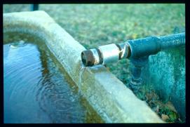 USA Weihnachten 1993/1994/Charleston, SC/plantation park/detail: water outlet - fake windmill? USA Weihnachten 1993/1994/Charleston, SC/plantation park/detail: water outlet - fake windmill?
