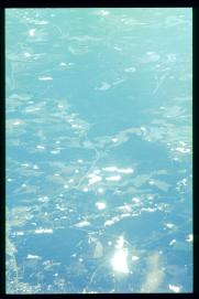 USA Weihnachten 1993/1994/Charleston, SC/from above USA Weihnachten 1993/1994/Charleston, SC/from above