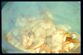 USA Weihnachten 1993/1994/New Year's Eve 1994/more prawns USA Weihnachten 1993/1994/New Year's Eve 1994/more prawns