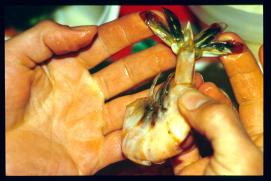 USA Weihnachten 1993/1994/New Year's Eve 1994/shrimps/catsup sauce USA Weihnachten 1993/1994/New Year's Eve 1994/shrimps/catsup sauce