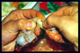 USA Weihnachten 1993/1994/New Year's Eve 1994/shrimps/catsup sauce USA Weihnachten 1993/1994/New Year's Eve 1994/shrimps/catsup sauce