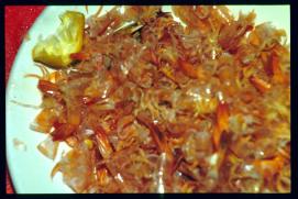 USA Weihnachten 1993/1994/New Year's Eve 1994/empty carcasses USA Weihnachten 1993/1994/New Year's Eve 1994/empty carcasses