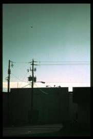 USA Weihnachten 1993/1994/Charleston SC/shopping mall parking lot USA Weihnachten 1993/1994/Charleston SC/shopping mall parking lot