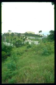 El Salvador 1995 El Salvador 1995