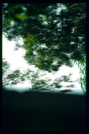 El Salvador 1995 El Salvador 1995