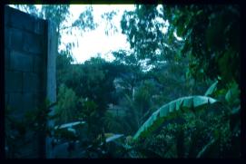 El Salvador 1995/vista al arroyo/(back yard creek commonly used for for dumping waste) El Salvador 1995/vista al arroyo/(back yard creek commonly used for for dumping waste)