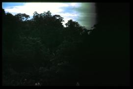 El Salvador 1995/arroyo/unterbelichtet El Salvador 1995/arroyo/unterbelichtet