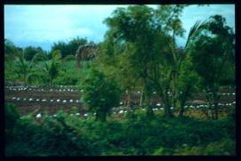 El Salvador 1995/paisaje El Salvador 1995/paisaje