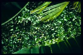 El Salvador 1995/arroyo El Salvador 1995/arroyo