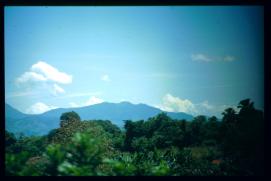 El Salvador 1995/en via a Guatemala? El Salvador 1995/en via a Guatemala?