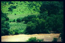 El Salvador 1995 El Salvador 1995