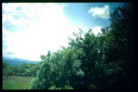 El Salvador 1995 El Salvador 1995