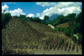 El Salvador 1995 El Salvador 1995