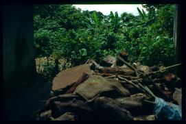 El Salvador 1995/leña? El Salvador 1995/leña?