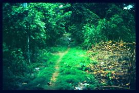 El Salvador 1995 El Salvador 1995