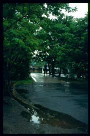 El Salvador 1995/parque arqueologico ... El Salvador 1995/parque arqueologico ...