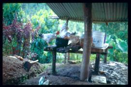 Guatemala 1996/gallinas Guatemala 1996/gallinas